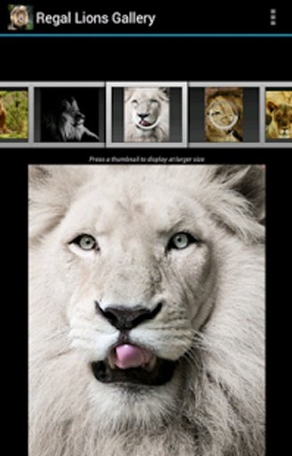 Regal Lions Gallery Wallpapers截图4