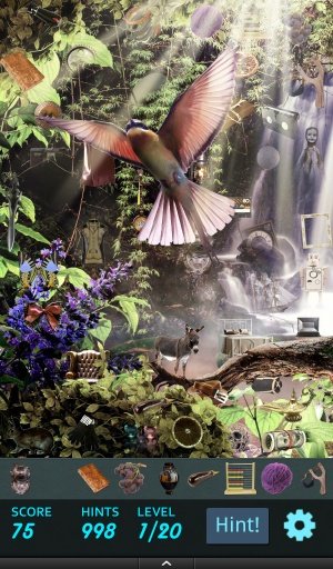 Hidden Object - Birds Aviary截图2