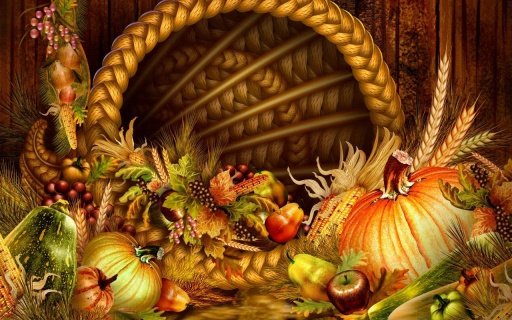 Thanksgiving Theme截图2