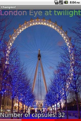 Top 10 Tallest Ferris Wheels 1 FREE截图3