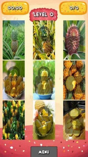 Pineapple Jigsaw Puzzle截图1