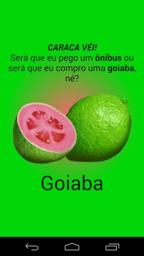 Ônibus ou Goiaba?截图1