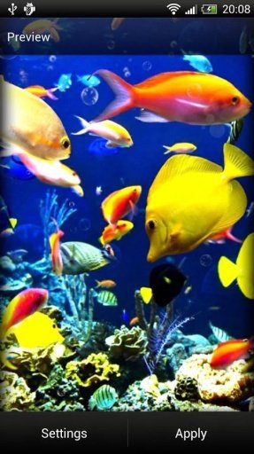 Ocean HD Live Wallpaper截图2