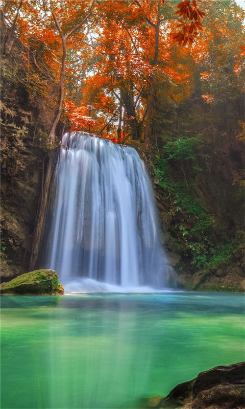 高清风景动态壁纸截图3