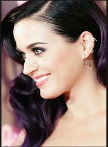 Katy Perry Roar截图1