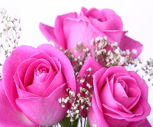 Pink Rose Live Wallpaper截图1