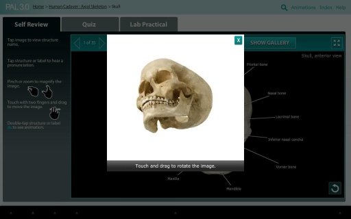 Practice Anatomy Lab截图3