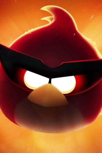 Funny Angry - Bird Wallpaper截图1