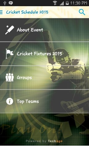 Cricket Schedule 2015截图4