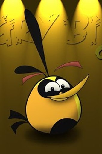 Funny Angry - Bird Wallpaper截图2