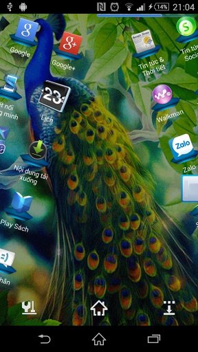 Peacock Live Wallpaper截图1