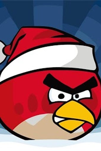 Funny Angry - Bird Wallpaper截图8