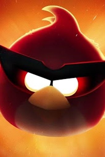 Funny Angry - Bird Wallpaper截图7