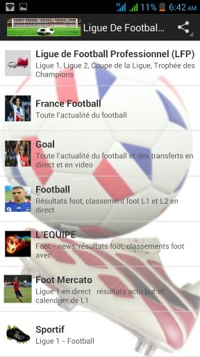 Ligue De Football Français截图5