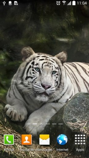 Tiger Live Wallpaper截图6