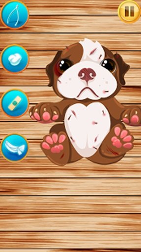 Mascota Vet截图6