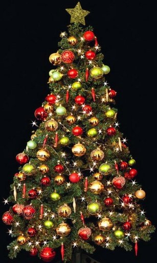 Christmas Trees Wallpaper截图2