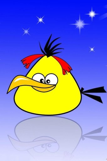 Funny Angry - Bird Wallpaper截图5