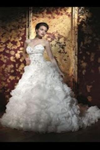 婚纱馆 Wedding Dress Gallery截图1