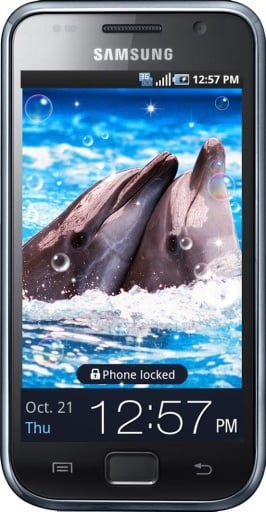 Dolphin Best HQ live wallpaper截图3