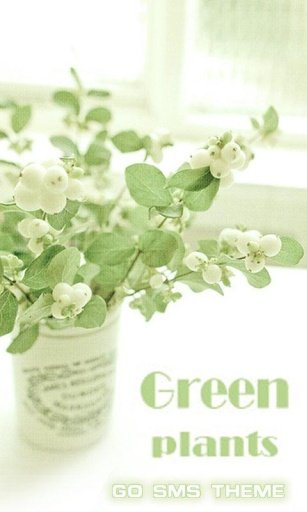 GO SMS GREEN PLANTS THEME截图2