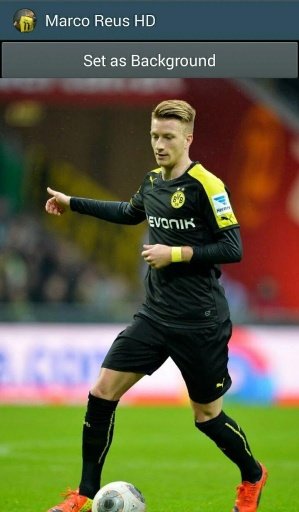 Marco Reus HD Wallpapers 2014截图4