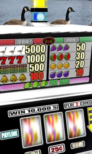 Goose Slots - Free截图4