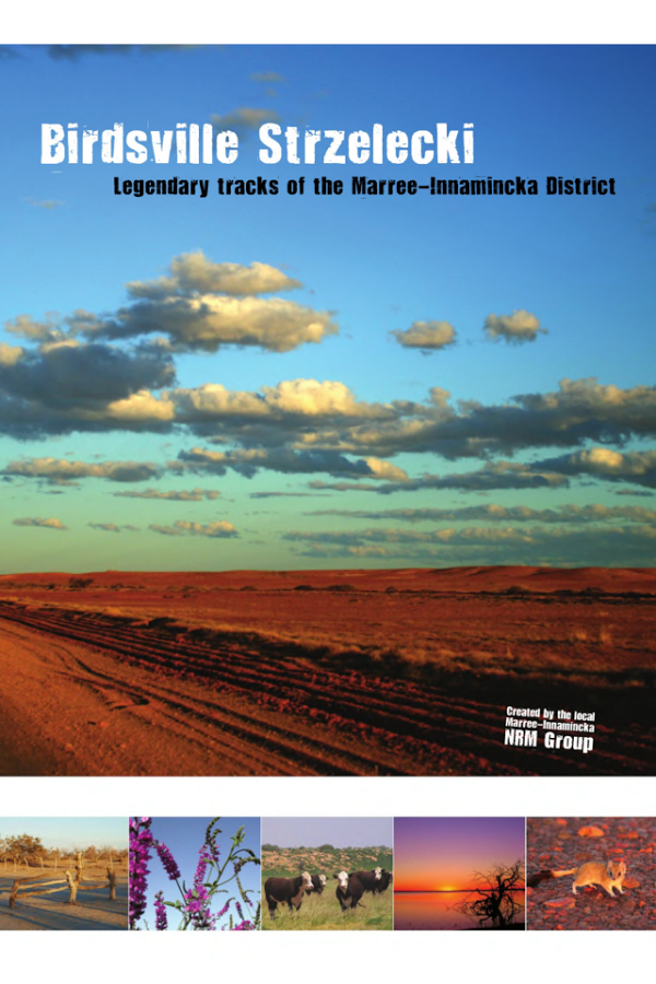 Legendary Outback Tracks Guide截图9