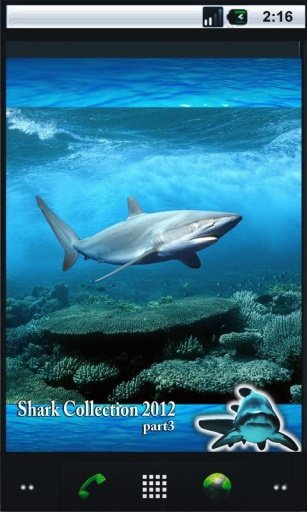 Shark Danger 3D Live Wallpaper截图1