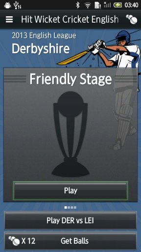 Hit Wicket English League Cricket截图5