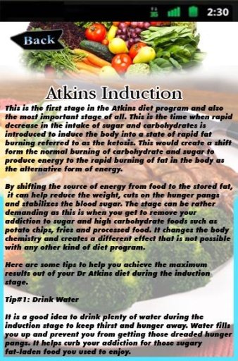 Atkins Induction截图2