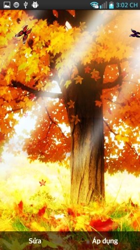 Galaxy S5 Autumn Wallpaper HD截图6