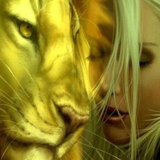 Lions jigsaw puzzles截图3