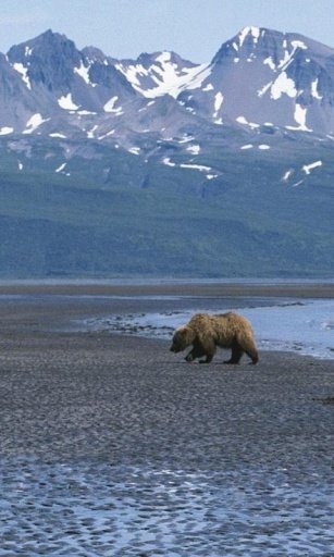 Alaskan Mountain Ranges Wallp截图1