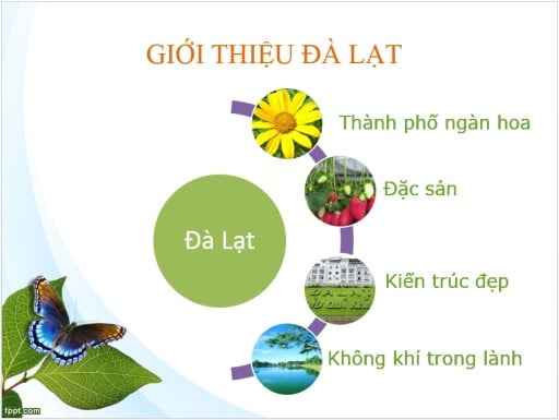 Dalat Travel截图2