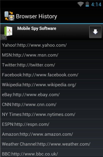 Mobile Spy - Facts截图2