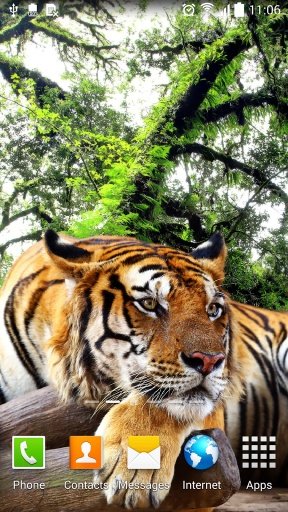 Tiger Live Wallpaper截图5