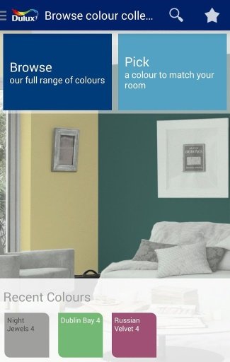 Dulux Nigeria Visualizer截图1