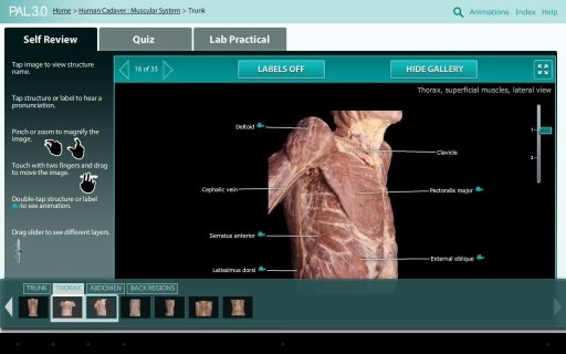 Practice Anatomy Lab截图2