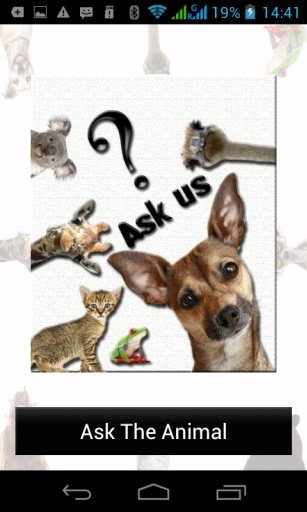 Ask Funny Animals截图6