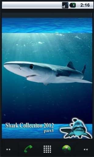 Shark Danger 3D Live Wallpaper截图4