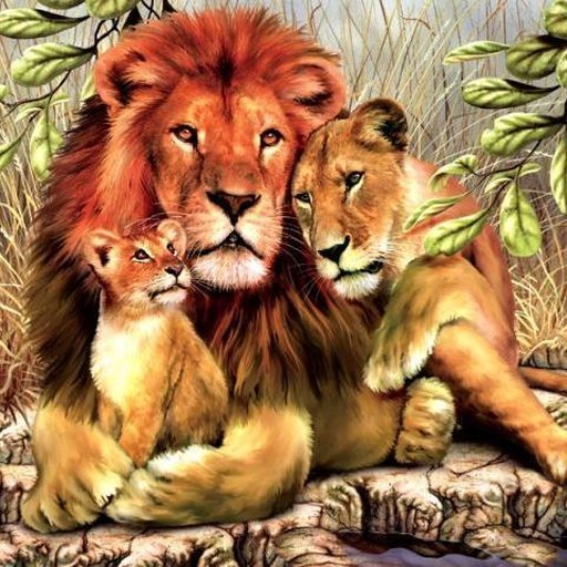 Lions jigsaw puzzles截图8