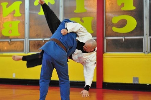 Martial Arts: Jiu-jitsu截图1