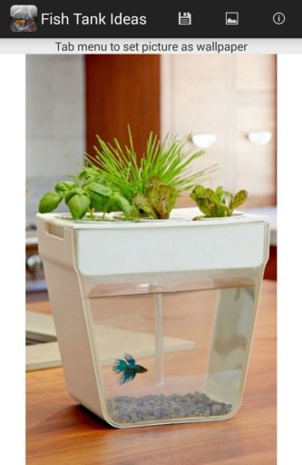 Fish Tank Ideas截图1