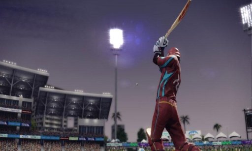 Hit Cricket Pro截图3