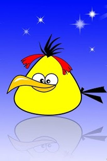 Funny Angry - Bird Wallpaper截图6