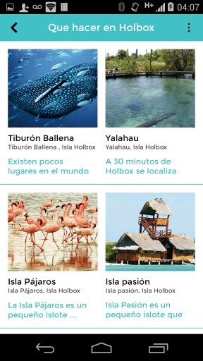 Guía Holbox截图5