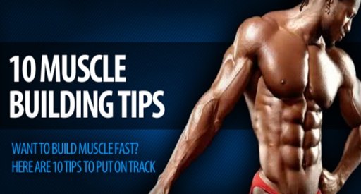 Building Muscle Fastest截图3