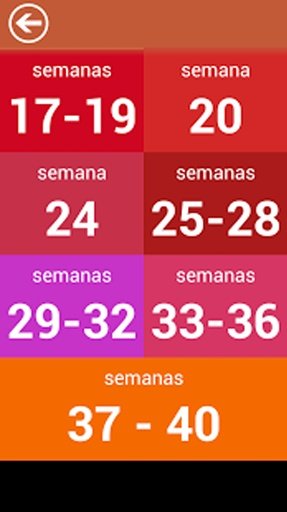 Embarazo por semanas Espa&ntilde;ol截图5