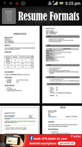 Resume Formats Stock截图8